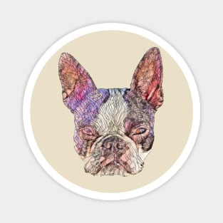 Boston Terrier Magnet